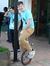 Liam Mc...