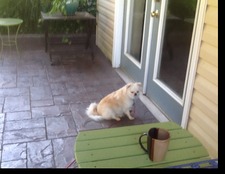 Missy