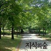식의숲 지
