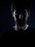 Diogo V...