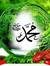 Ahmed M...