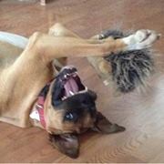 Punk Nothingtoseehere