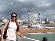 Pampeliška Vypelichaná