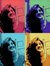 Prachi ...