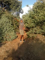 Gheen Abdellaoui