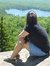Parul M...