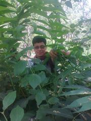 Maisam Hussaini