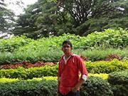 Mohit Padamata