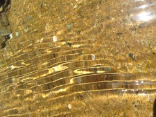 مسفر العدواني