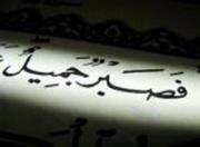 Mohamed Abd elhamed