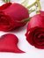Shweta ...