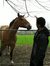Ahmed A...