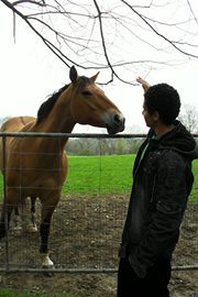 Ahmed Affan