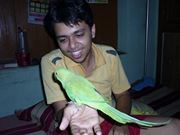 Abhishek Sharma