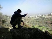 احمد ابو زيد