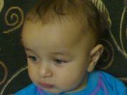 Hani Fdar
