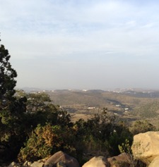 وضاح التميمي