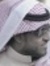 Muawiya...