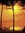 Xanthe | 4 comments