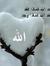 د.هيثم ...