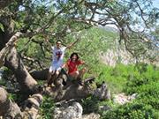 Simone Mastrogiacomo