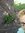 Faris Nicole | 1 comments