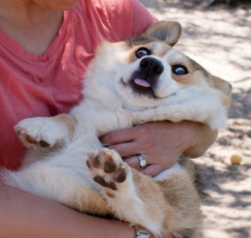 Goodreads profile picture for @Dreading