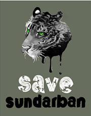 আকিব সাতিল