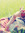 Rose | 669 comments