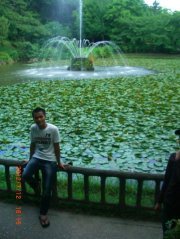Apap Andriana