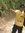 Sudheer...
