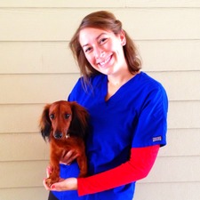 Tkcasady12hotmail.com