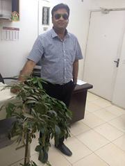 Singhal Nick'ss