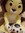 member photo member photo