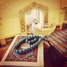 Salma Sayed