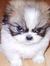 Megane Ber