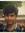 Mihir V...