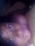 Nneoma ...