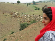 منانه  هاشمی