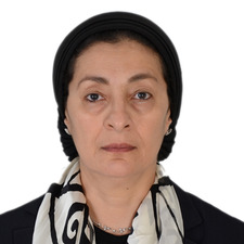 Loubna A. Youssef