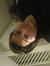 Kylee H...