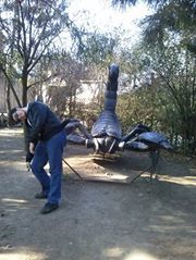 Gabriel Perez gonzalez