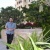 Davood Farshad