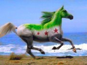 السندباد البحري