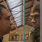 Jose Fernández arozena