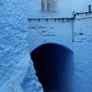 Curriculum Coordinator