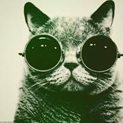 Theundergroundfunky Cat