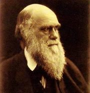 حزقيال الأحمق