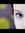 Eszter ...