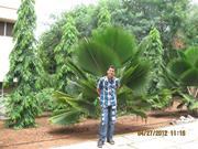 Saravana Vale